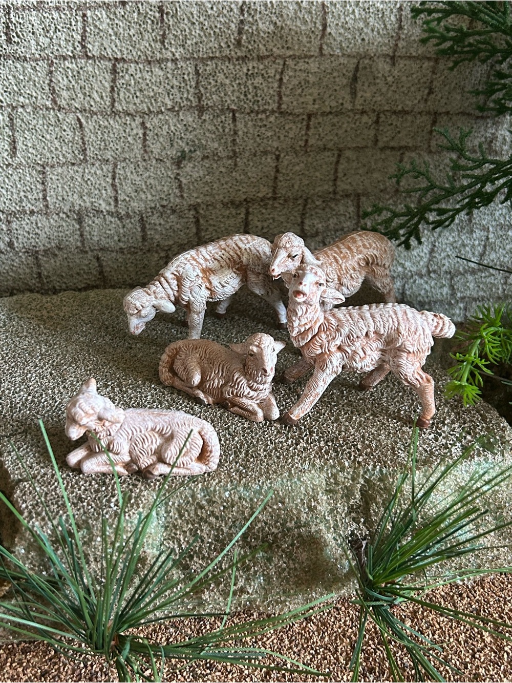 Fontanini nativity white sheep set of 5 Sheep Figurine Set - 5” scale #72539